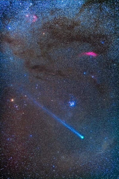 Astrology: Comet Lovejoy's Long Ion Tail In Taurus by Alan Dyer
