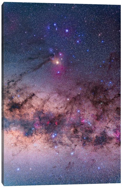 Scorpius With Parts Of Lupus And Ara Regions Of The Southern Milky Way Canvas Art Print - Scorpio Art