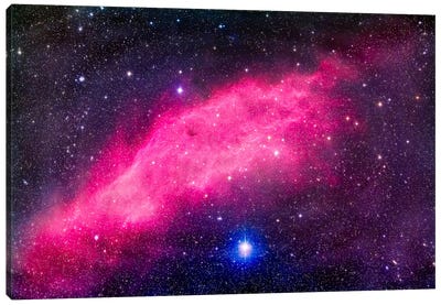 The California Nebula Canvas Art Print - Alan Dyer