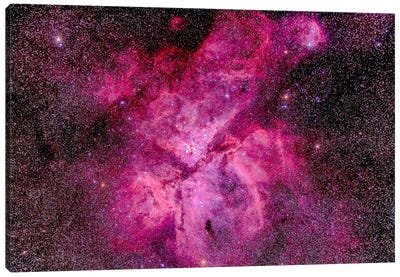 The Carina Nebula In The Southern Sky Canvas Art Print - Alan Dyer