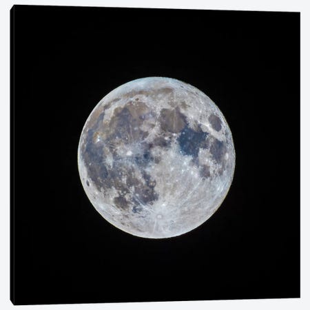 The Mini-Moon Of March 5, 2015 Canvas Print #TRK1180} by Alan Dyer Canvas Print