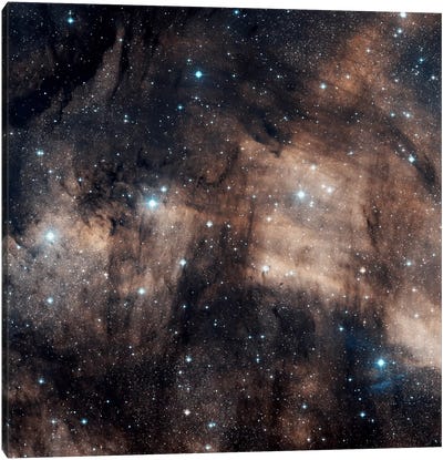 A Faint Emission Nebula Located In The Constellation Cygnus (IC 5068) Canvas Art Print