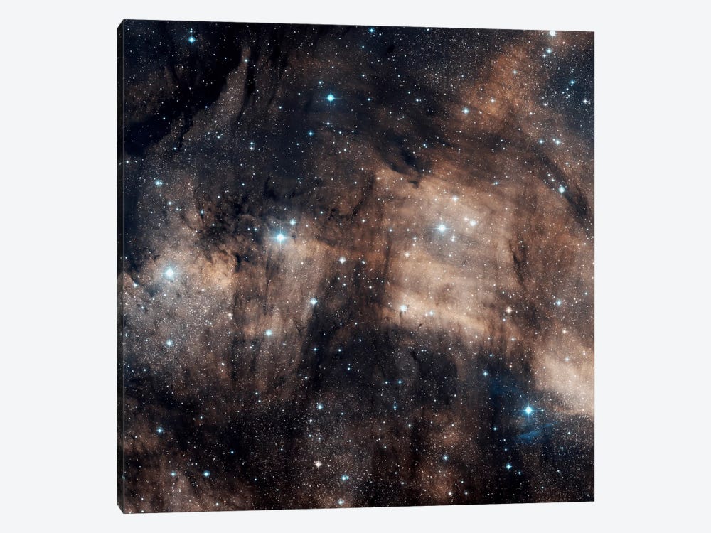 A Faint Emission Nebula Located In The Constellation Cygnus (IC 5068) by Charles Shahar 1-piece Canvas Print