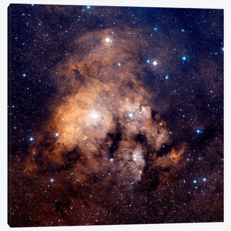 Cederblad 214, Emission Nebula Located In Northern Cepheus Canvas Print #TRK1195} by Charles Shahar Art Print