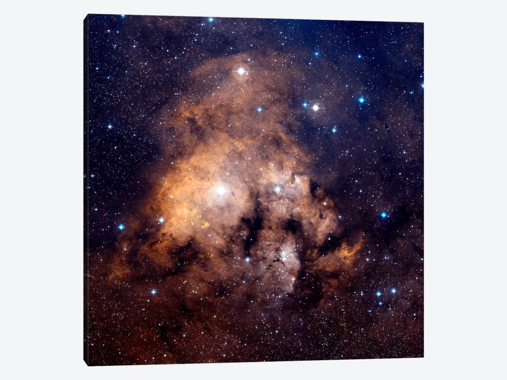 Cederblad 214, Emission Nebula Located In Northern Cepheus by Charles Shahar 1-piece Canvas Artwork