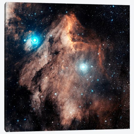 The Pelican Nebula (IC 5067 & IC 5070) Canvas Print #TRK1198} by Charles Shahar Canvas Art