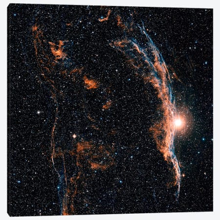 The Witch's Broom Nebula (NGC 6960) And Part Of The Veil Nebula Canvas Print #TRK1200} by Charles Shahar Canvas Art