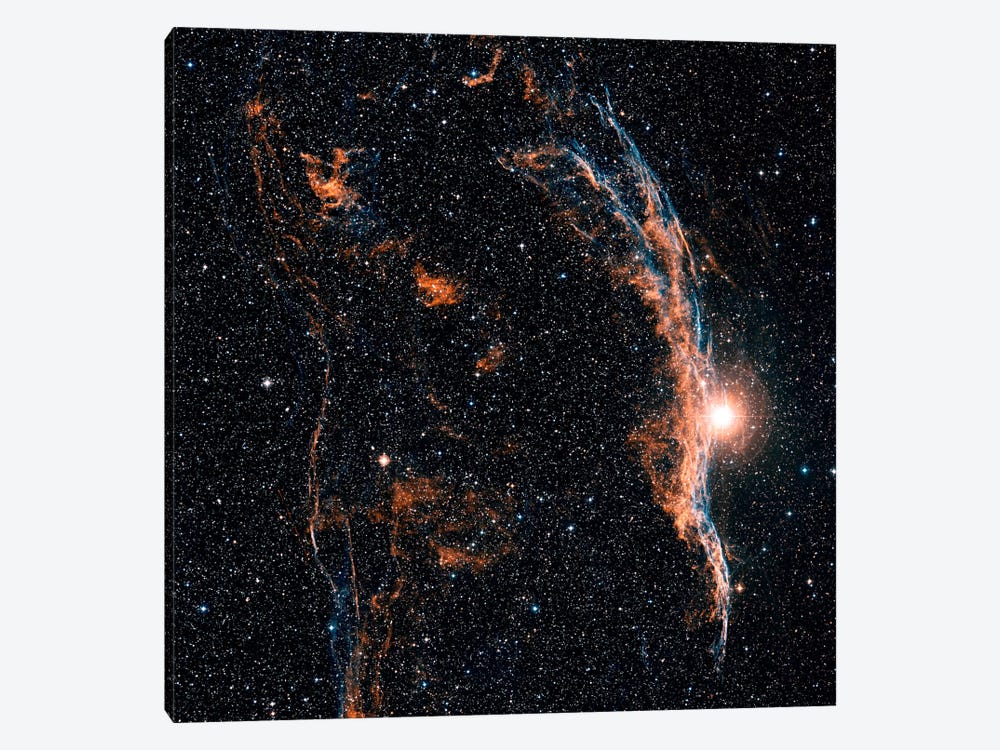 The Witch's Broom Nebula (NGC 6960) And Part Of The Veil Nebula by Charles Shahar 1-piece Canvas Wall Art