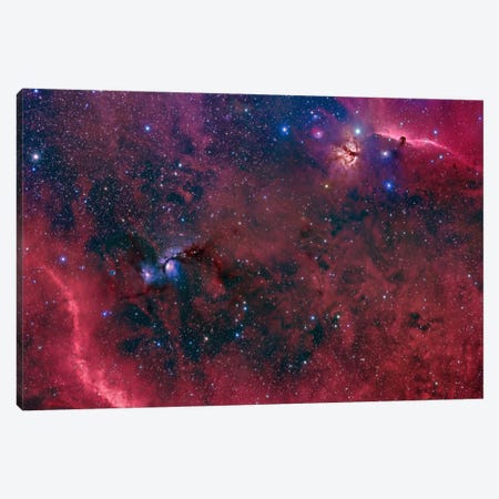 Widefield View In The Orion Constellation Canvas Print #TRK1226} by John Davis Art Print