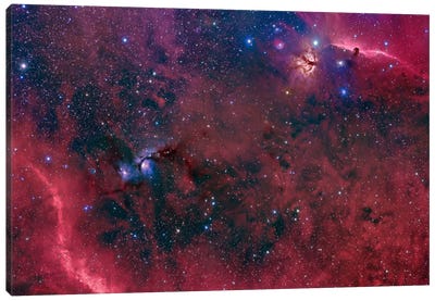 Widefield View In The Orion Constellation Canvas Art Print