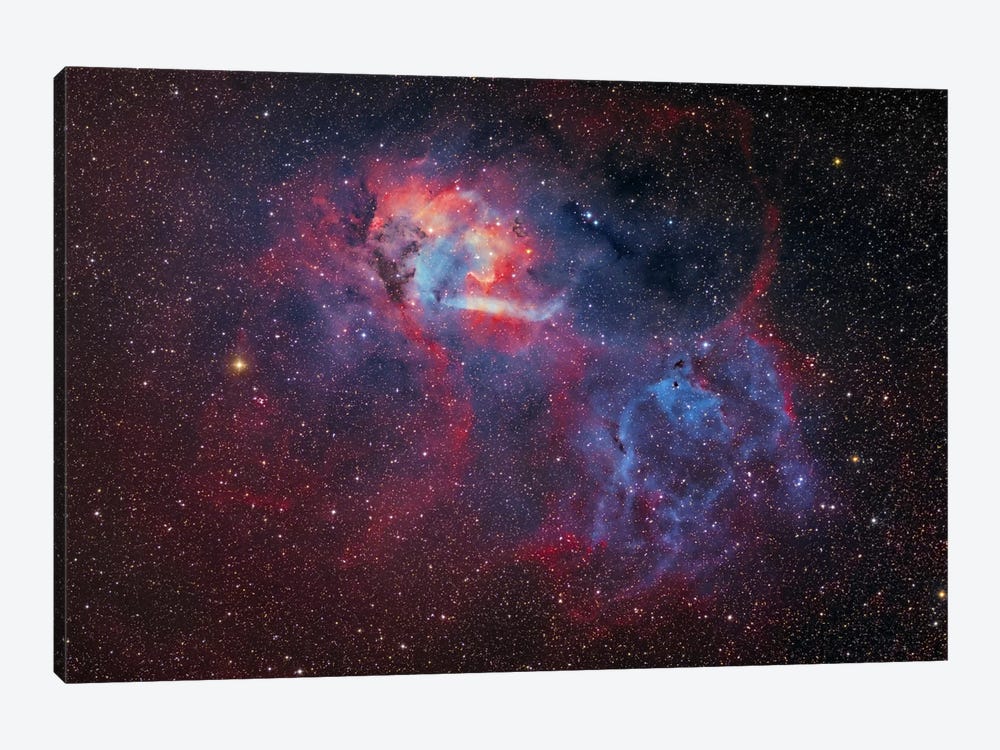 Emission Nebula (Sharpless 2-132 ) At The Cepheus/Lacerta Border by Lorand Fenyes 1-piece Canvas Print