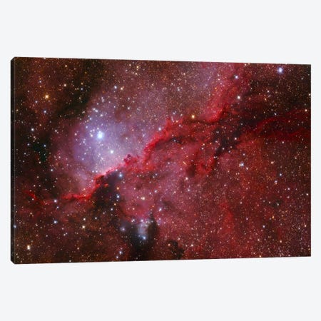 Star Forming Emission Nebula (NGC 6188) In The Constellation Ara Canvas Print #TRK1235} by Lorand Fenyes Canvas Artwork