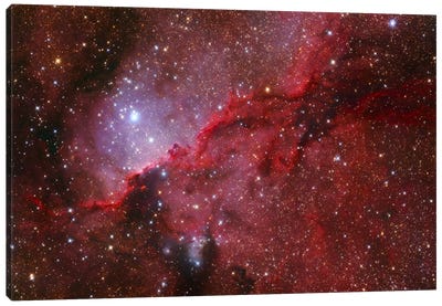 Star Forming Emission Nebula (NGC 6188) In The Constellation Ara Canvas Art Print