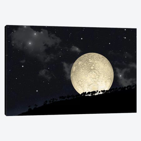 A Full Moon Rising Behind A Row Of Hilltop Trees Canvas Print #TRK1240} by Marc Ward Canvas Artwork