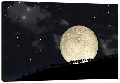 A Full Moon Rising Behind A Row Of Hilltop Trees Canvas Art Print - Stocktrek Images - Astronomy & Space Collection