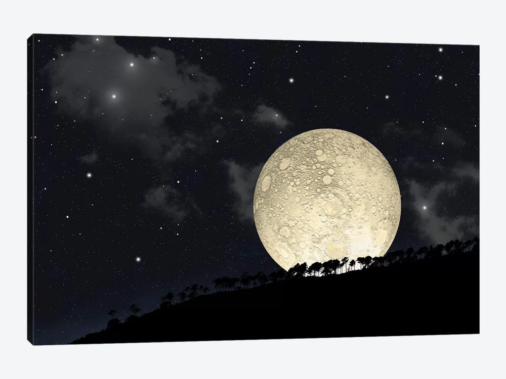 A Full Moon Rising Behind A Row Of Hilltop Trees 1-piece Canvas Wall Art
