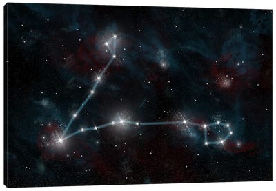 The Constellation Pisces The Fish Canvas Art Print