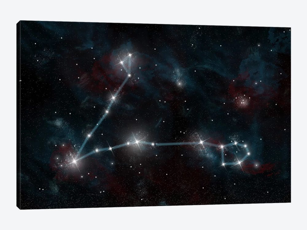 The Constellation Pisces The Fish by Marc Ward 1-piece Canvas Print