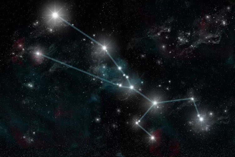 The Constellation Taurus The Bull