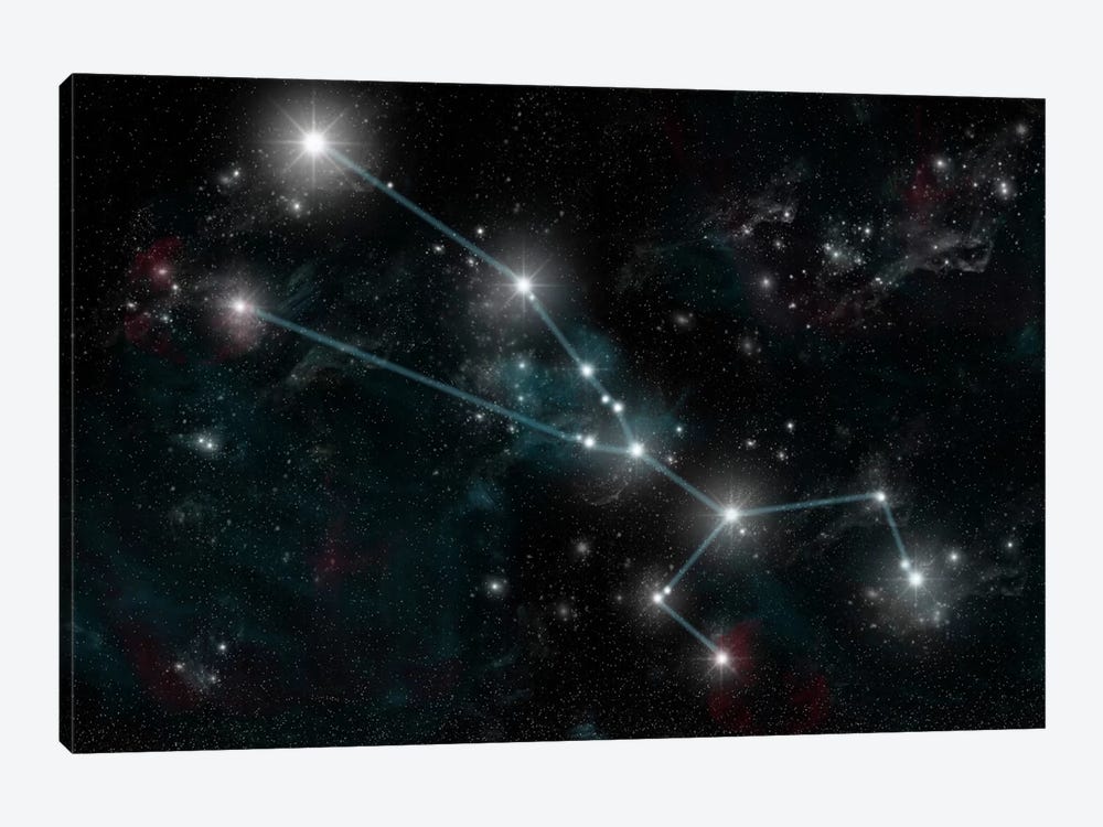The Constellation Taurus The Bull by Marc Ward 1-piece Canvas Art