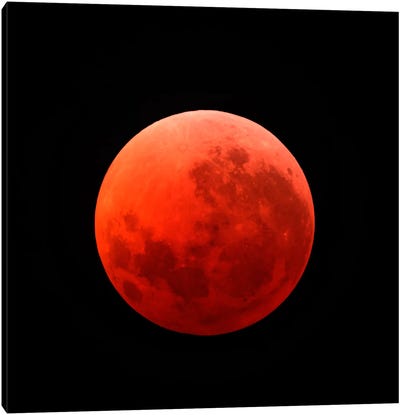 Lunar Eclipse Taken On April 15, 2014 Canvas Art Print