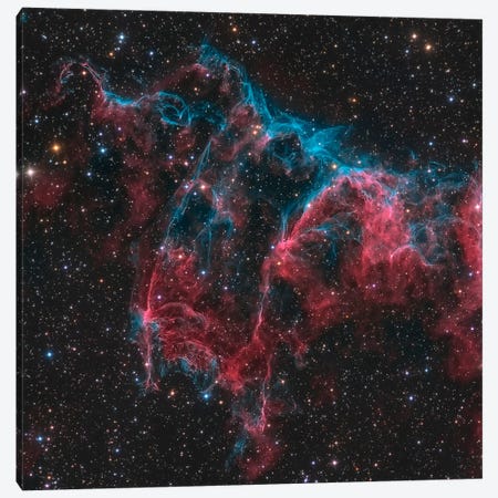 The Bat Nebula (NGC 6995) Canvas Print #TRK1268} by Michael Miller Canvas Artwork