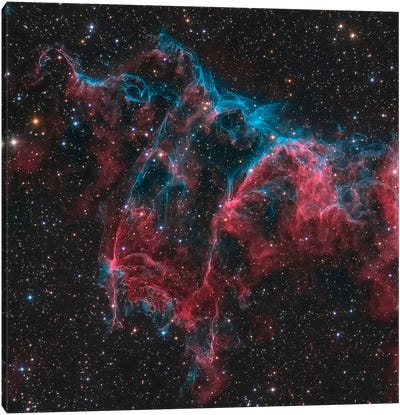 The Bat Nebula (NGC 6995) Canvas Art Print - Nebula Art