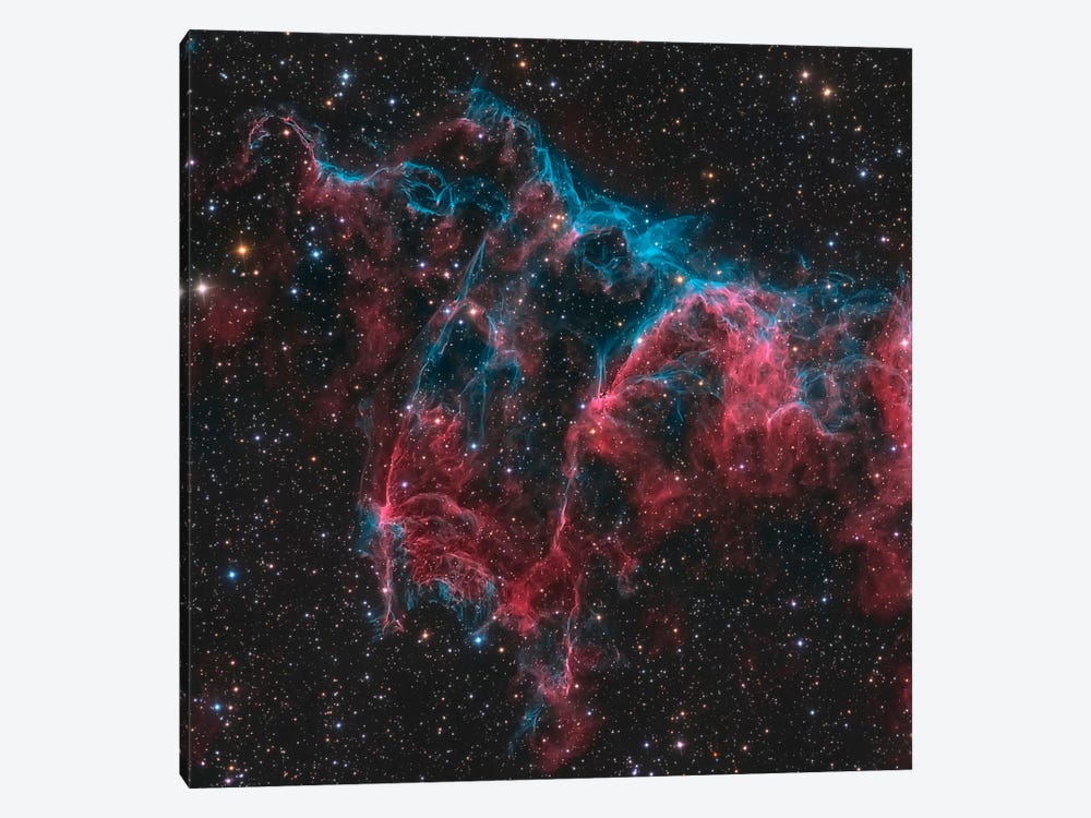 The Bat Nebula (NGC 6995) by Michael Miller 1-piece Canvas Art