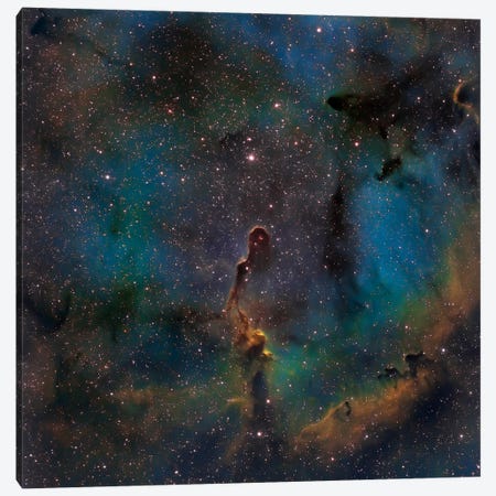 The Elephant Trunk Nebula (IC 1396) Canvas Print #TRK1270} by Michael Miller Canvas Print