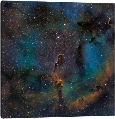 The Elephant Trunk Nebula (IC 1396) Canvas Art Print