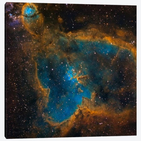 The Heart Nebula (IC 1805) Canvas Print #TRK1272} by Michael Miller Canvas Print
