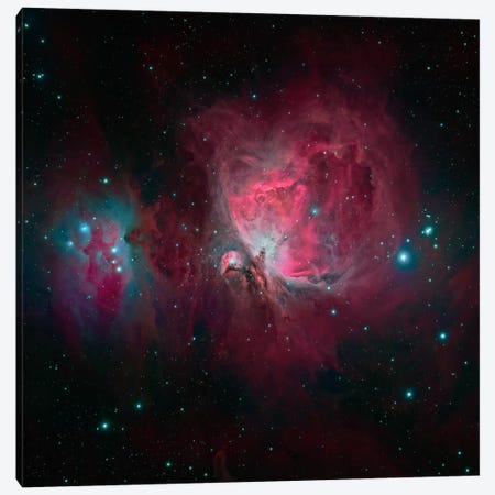 The Orion Nebula (M42) Canvas Print #TRK1274} by Michael Miller Canvas Art