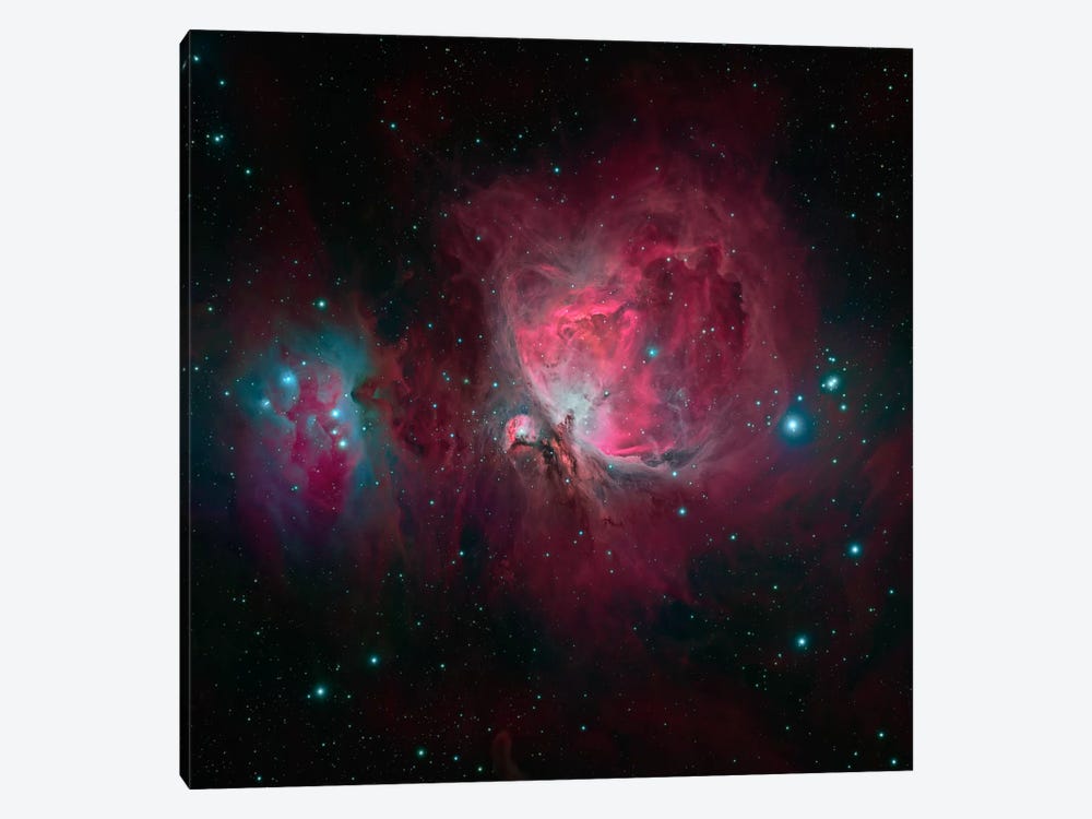 The Orion Nebula (M42) by Michael Miller 1-piece Art Print
