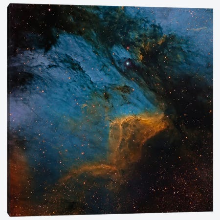 The Pelican Nebula, An H II Region In The Constellation Cygnus Canvas Print #TRK1275} by Michael Miller Canvas Artwork