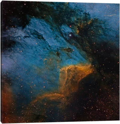 The Pelican Nebula, An H II Region In The Constellation Cygnus Canvas Art Print