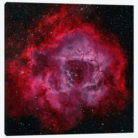 The Rosette Nebula Canvas Print #TRK1276} by Michael Miller Canvas Artwork