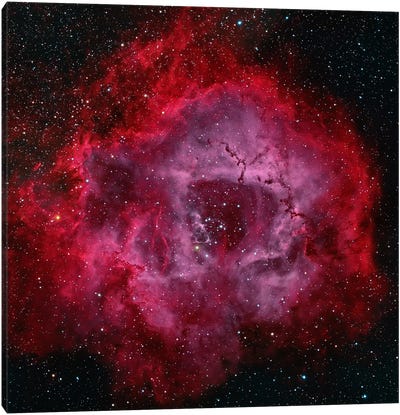 The Rosette Nebula Canvas Art Print - Stocktrek Images - Astronomy & Space Collection