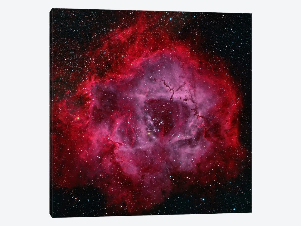 The Rosette Nebula by Michael Miller 1-piece Canvas Print