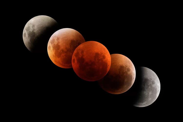 Composite Image Of Lunar Eclipse I