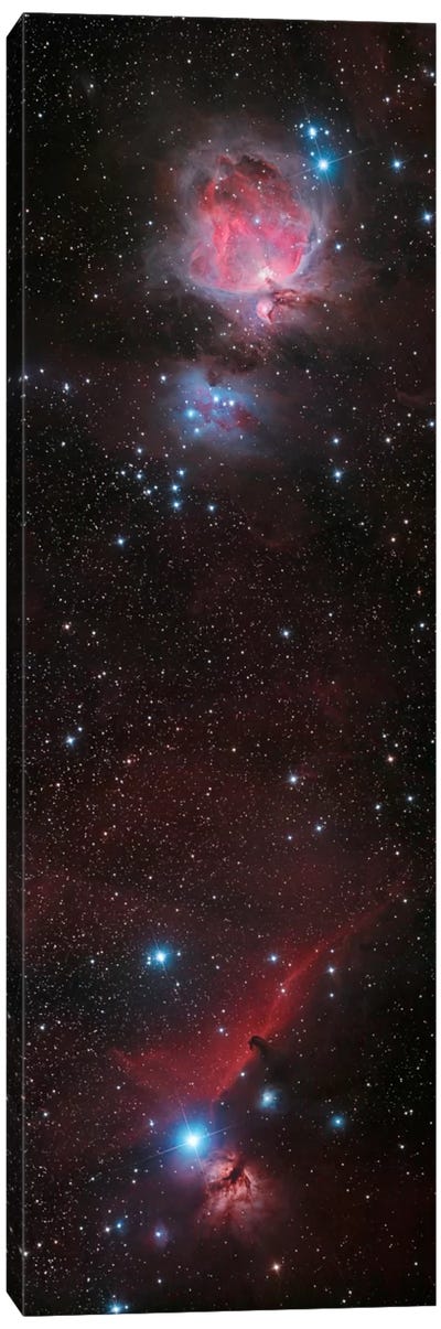 Mosaic Of Orion Nebula And Horsehead Nebula Canvas Art Print - Stocktrek Images - Astronomy & Space Collection