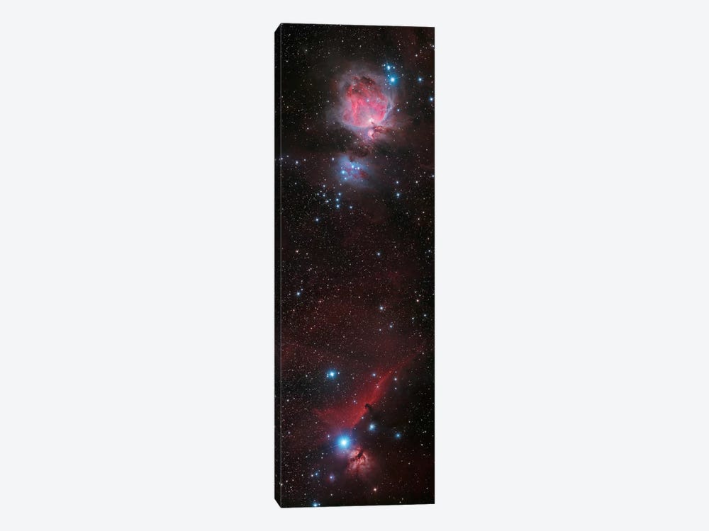 Mosaic Of Orion Nebula And Horsehead Nebula by Philip Hart 1-piece Canvas Artwork