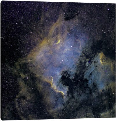 The North America Nebula And The Pelican Nebula In The Constellation Cygnus Canvas Art Print