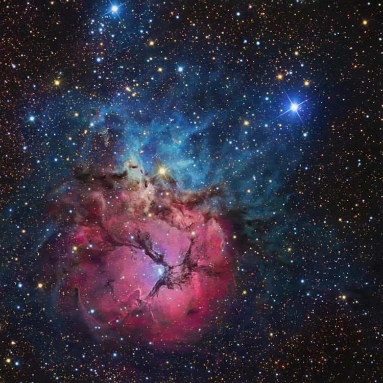 The Trifid Nebula (NGC 6514)