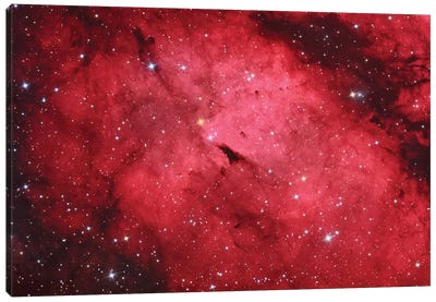 Sadr Region In The Constellation Cygnus II Canvas Art Print