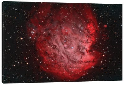 The Monkey Head Nebula (NGC 2174) With IC 2159 Nebulosity Canvas Art Print
