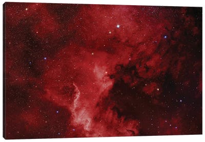 The North America Nebula (NGC 7000) Canvas Art Print