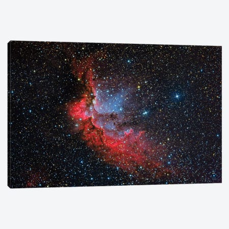 The Wizard Nebula (NGC 7380) Canvas Print #TRK1306} by Reinhold Wittich Canvas Art