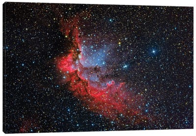 The Wizard Nebula (NGC 7380) Canvas Art Print