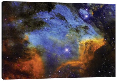 A Colorful Pelican Nebula In The Constellation Cygnus Canvas Art Print