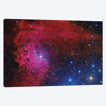 Flaming Star Nebula In The Constellation Auriga Canvas Print #TRK1323} by Roberto Colombari Canvas Print
